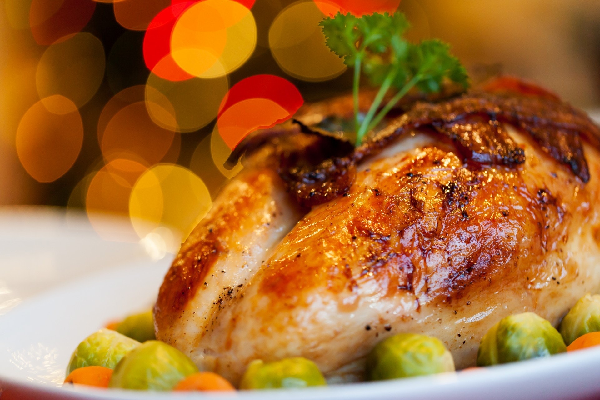 chicken close up dinner 265393