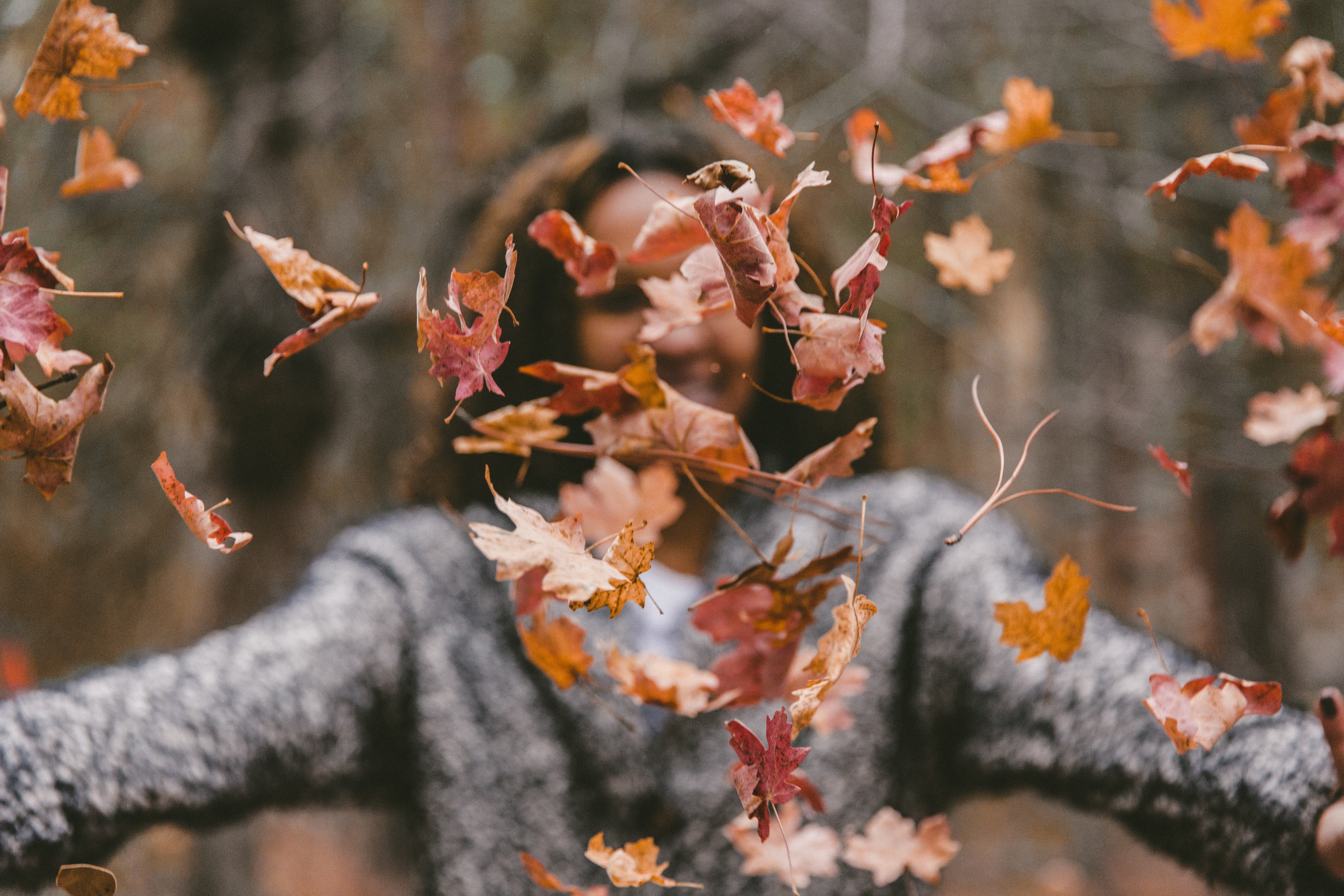 jakob owens 172511 unsplash