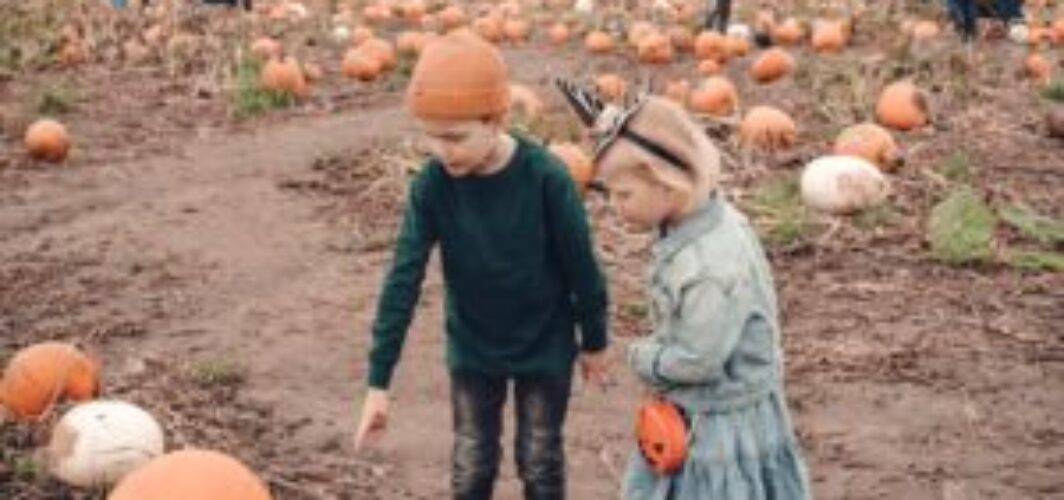 Kids looking at pumpkins - RV Adventures Near Midland